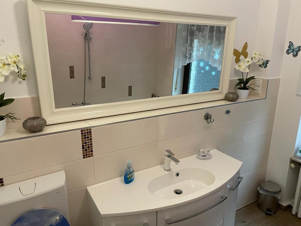 Ferienwohnung M&M هيرفورد المظهر الخارجي الصورة